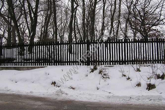 Zvole (Pod Věží) Zvole (Pod Věží)