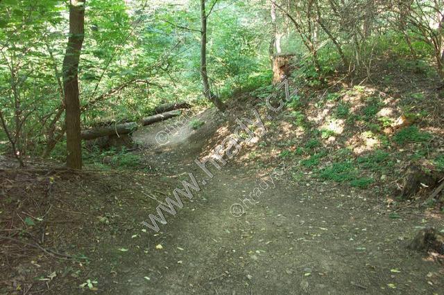 Dolní Břežany (Hradišťátko) Dolní Břežany (Hradišťátko)